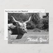 Skeptikkühe Danke, Postcard Postkarte (Vorne/Hinten)