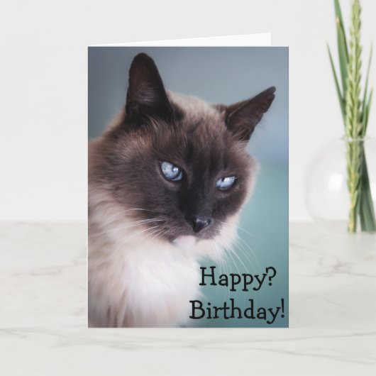 Skeptische oder gruselige Katze: Happy? Geburtstag Karte (Vorderseite)