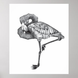 Sketch American BW Flamingo   Funny Flaming Poster