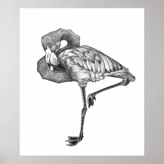 Sketch American BW Flamingo | Funny Flaming Poster (Vorne)
