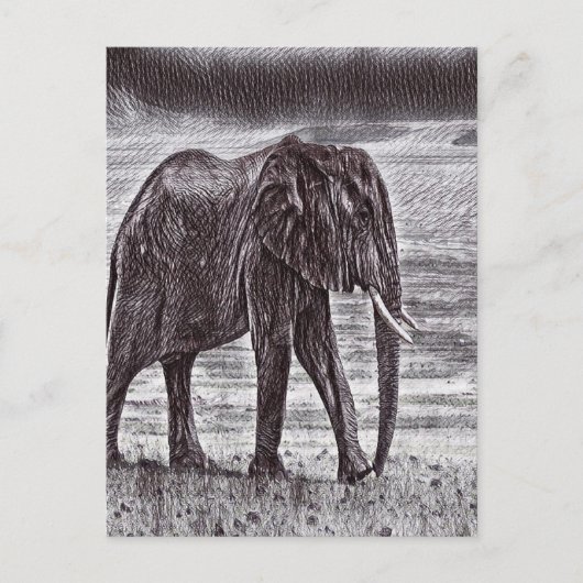 Sketch-Elefant Postkarte (Vorderseite)