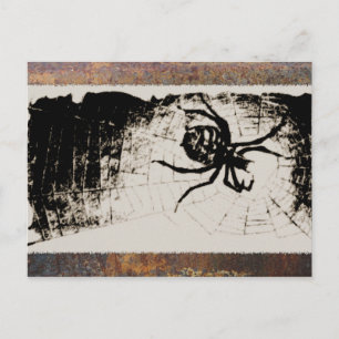 Sketchy Spider Postkarte