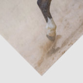 Skewbald amerikanisches Miniaturpferd, das in Stau Seidenpapier (Detail)