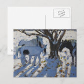 Skewbald Ponies im Winter 2012 Postkarte (Vorne/Hinten)