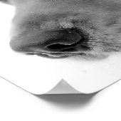 Ski Dog Poster (Ecke)