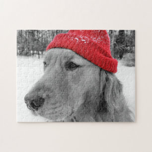 Ski-Hundegolden retriever Puzzle