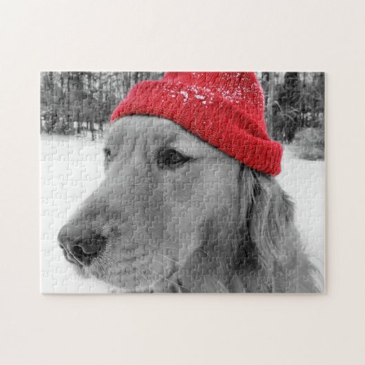 Ski-Hundegolden retriever Puzzle (Horizontal)