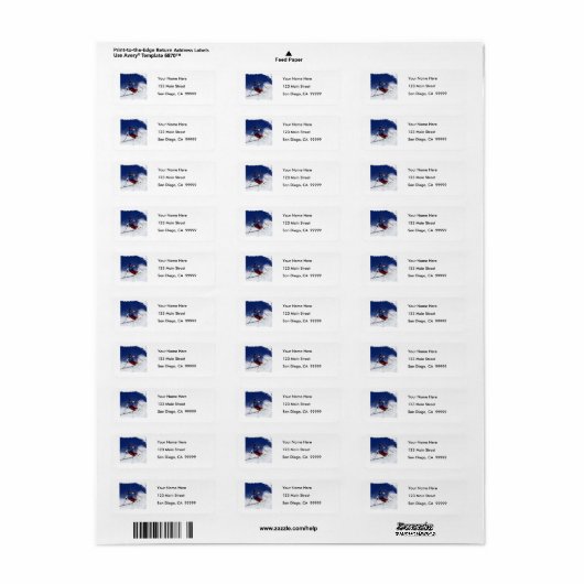 Ski Racing Down the Mountain (Vorne)