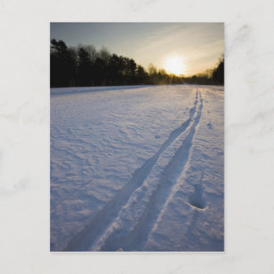 Ski-Spuren im Willowbrook Farm Preserve in Postkarte