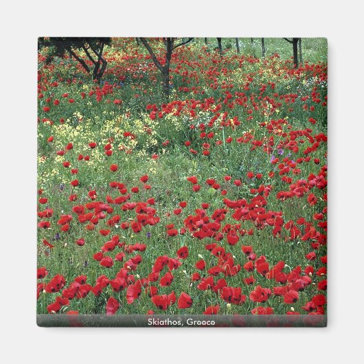 Skiathos, Griechenland Magnet (Vorne)