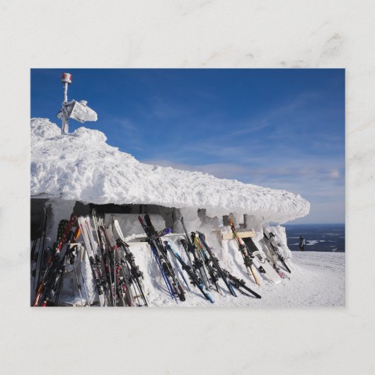Skier in einem Skigebiet, Lappland Postkarte (Vorderseite)