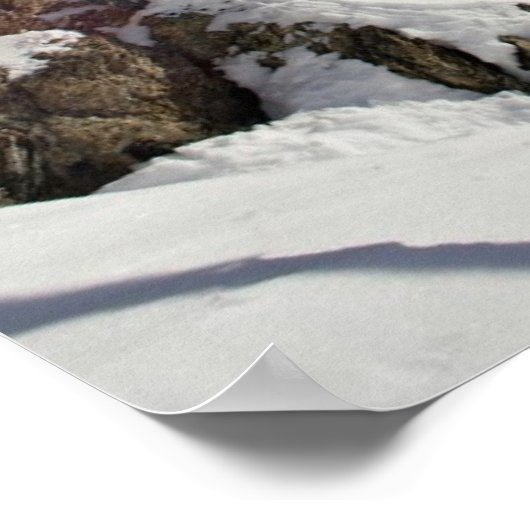 Skier in Midair Poster (Ecke)