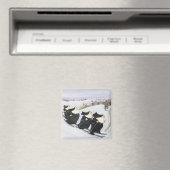 Skifahren Magnet (In Situ (Geschirrspüler))