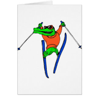Skifahrer