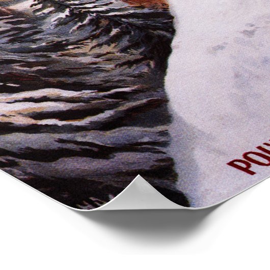 Skiing Promotionplakat Poster (Ecke)