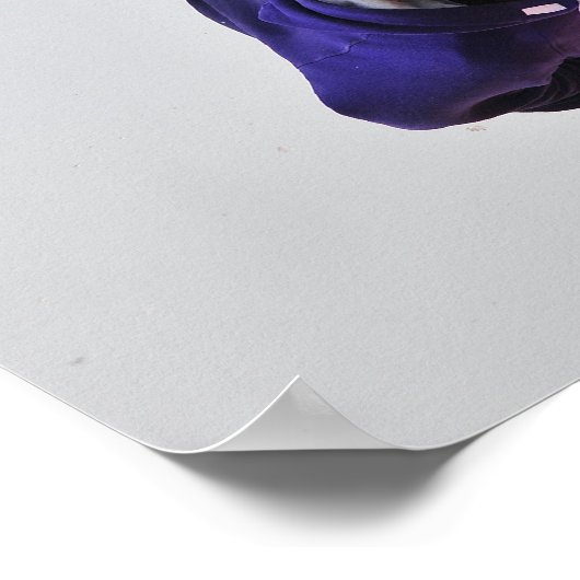 Skiläufer Poster (Ecke)