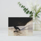 Skiläufer Postkarte (Stehend Vorderseite)