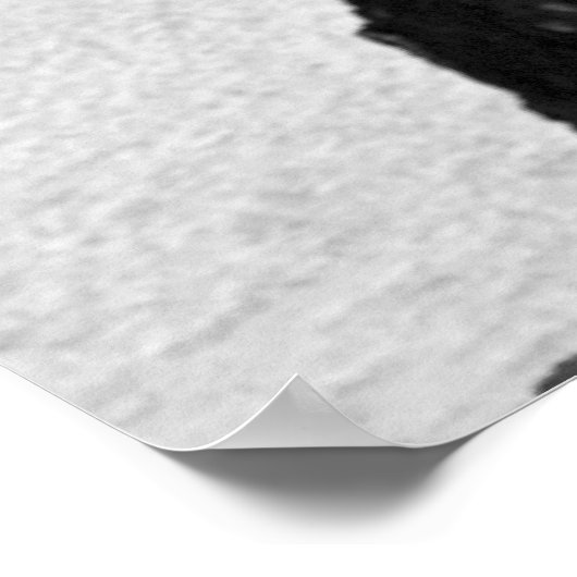 Skilifte in Mammoth Poster (Ecke)