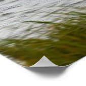 Skimmer Bird Foto Poster (Ecke)