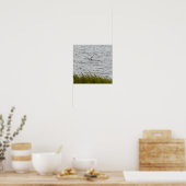 Skimmer Bird Foto Poster (Küche)