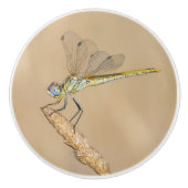 Skimmer Dragonfly Insekt Female (CC BY 4,0) Keramikknauf (Vorderseite)