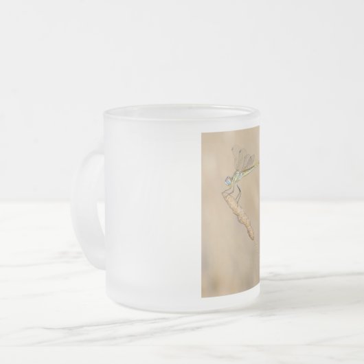 Skimmer Dragonfly Insekt Weibchen (CC BY 4,0) Fros Mattglastasse (Vorderseite Links)