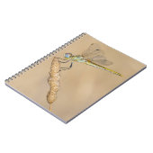 Skimmer Dragonfly Insekt Weibchen (CC BY 4.0) Note Notizblock (Linke Seite)