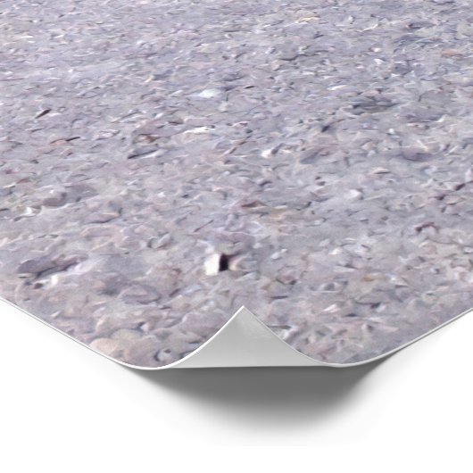 Skimmer Flock Poster (Ecke)