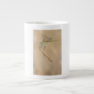 Skimmer Libelle Insekt Weiblich (CC BY 4.0) Espres Jumbo-Tasse
