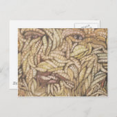 "Skin Deep" Postkarte (Vorne/Hinten)