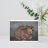 Skinny Pig Postkarte (Stehend Vorderseite)
