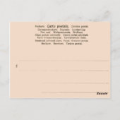 Skiort, Rumänien, Piana Brasov, Erholungsortkarte Postkarte (Rückseite)