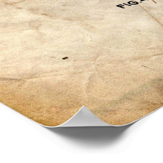 Skipatent Poster (Ecke)