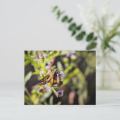 Skipper Butterfly Feiertagspostkarte (Stehend Vorderseite)