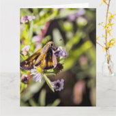 Skipper Butterfly Karte (Gelbe Blume)