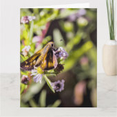 Skipper Butterfly Karte (Vorderseite)