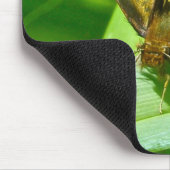 Skipper Butterfly Mousepad (Ecke)