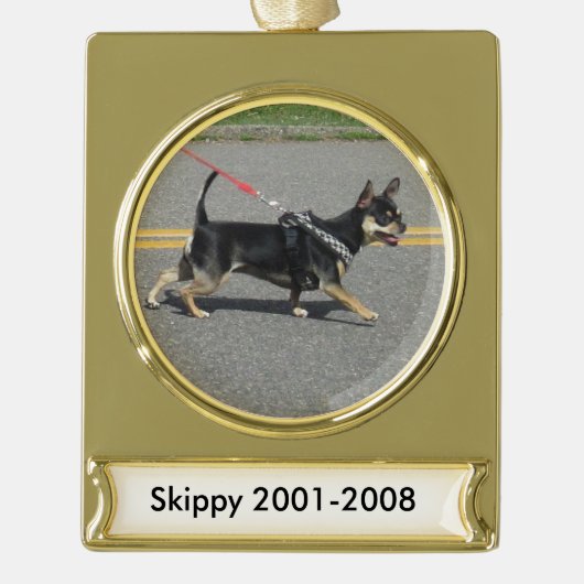Skippy Chihuahua-Verzierung Banner-Ornament Gold (Vorderseite)