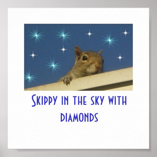 Skippy in the sky mit Diamanten Poster (Vorne)