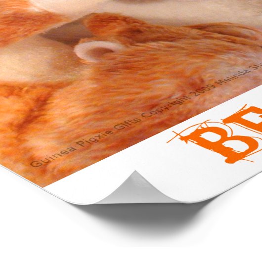 Skippy Pig & Roo Stuffy Poster (Ecke)