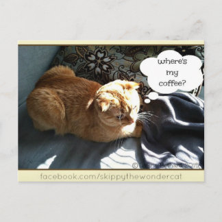 Skippy wo ist mein Kaffee? Postkarte