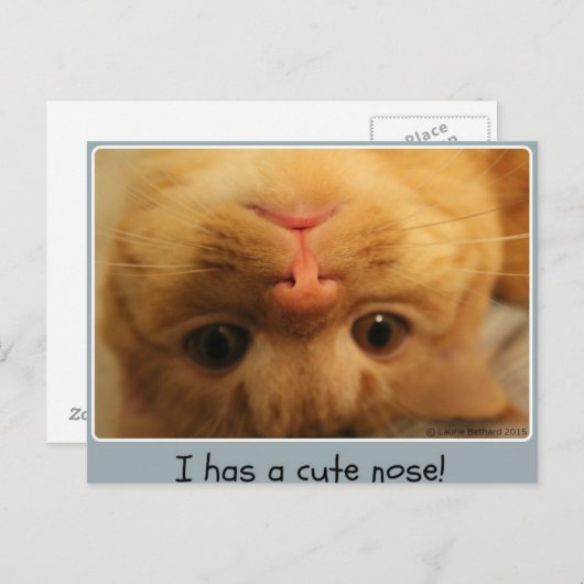 Skippy's kleine Nase Postkarte (Vorne/Hinten)