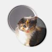 Skittles Magnet (Vorderseite/Rückseite)