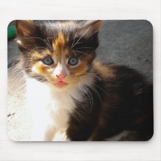 Skittles Mousepad (Vorne)