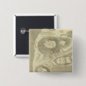 Skizze Button (Vorne & Hinten)