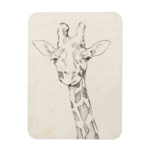 Skizze des Giraffen-Porträt-  Magnet