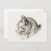 Skizze einer Katze mit rosa Nase Postkarte (Vorne/Hinten)