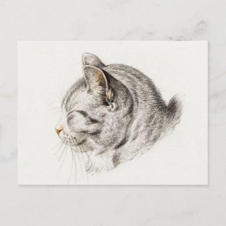 Skizze einer Katze mit rosa Nase Postkarte