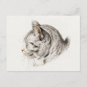 Skizze einer Katze mit rosafarbener Nase Postkarte