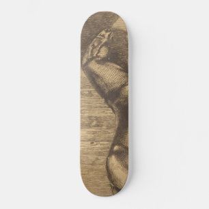 Skizze eines Ponys (von Paul-Albert Besnard) Skateboard
